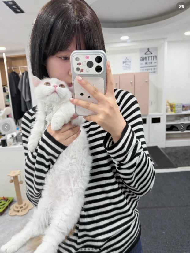 레드스팟 협업 콘텐츠